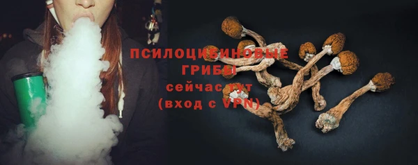 mix Богородицк